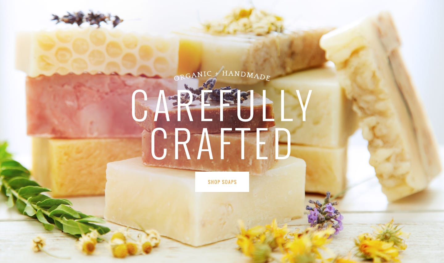 Alternate Text for Image 1